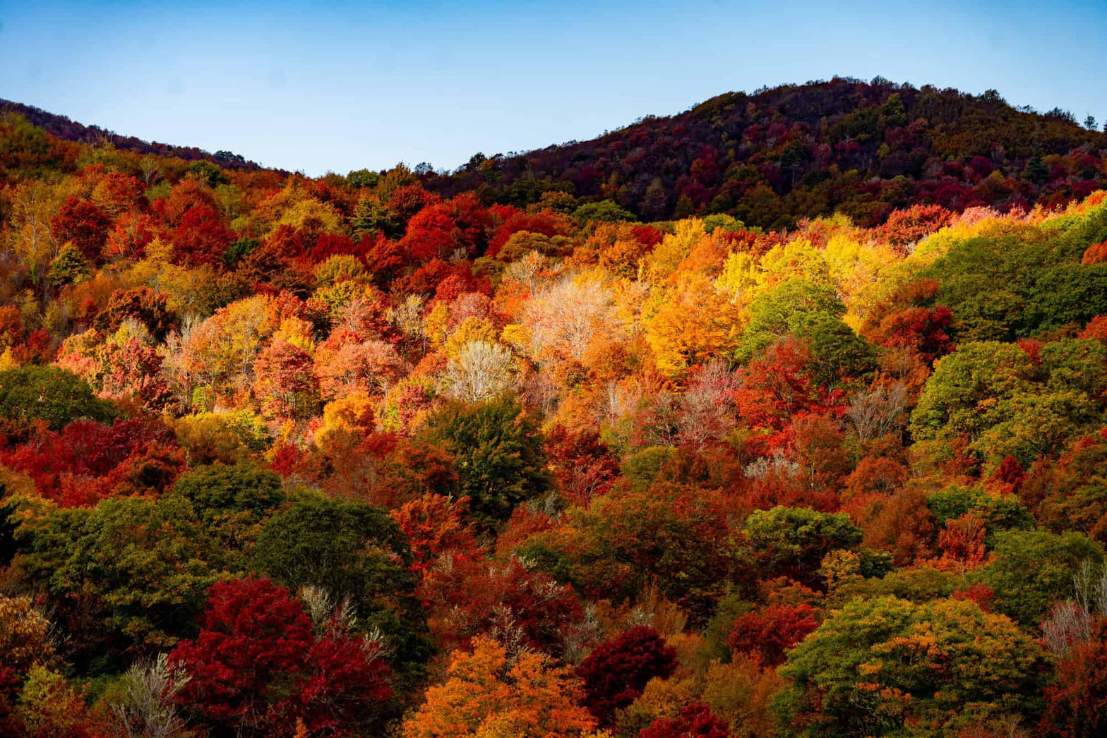 Vibrant autumn hillsides